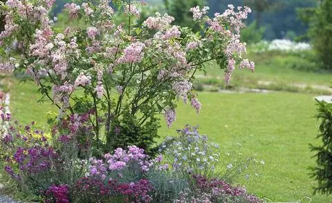 Подвеска сиреневая с гвоздиками, льном и золотым лаком