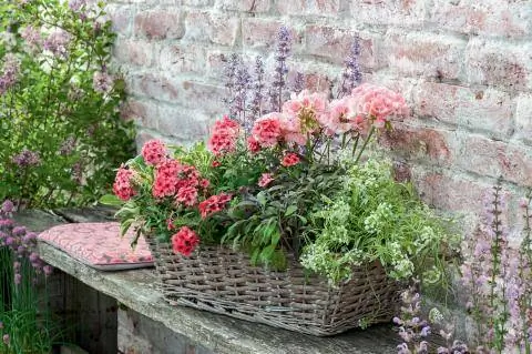 цветочная композиция