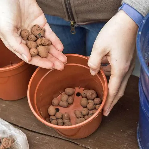 Дренажный слой для амариллиса