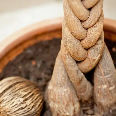 Плетеный ствол