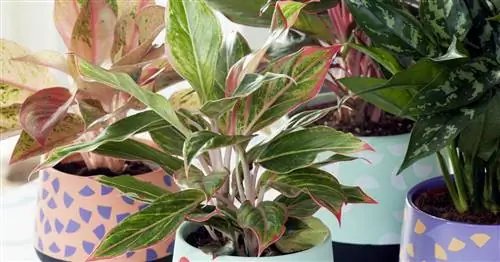 Резьба плунжера