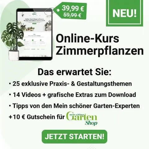 Онлайн курс по комнатным растениям