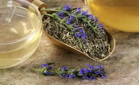 Сушеные листья иссопа