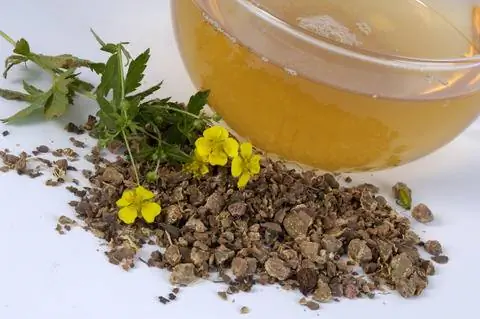 чай из лапчатки