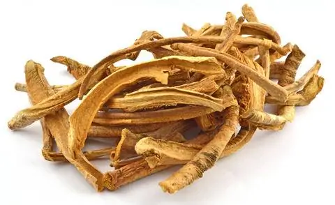 корни горечавки
