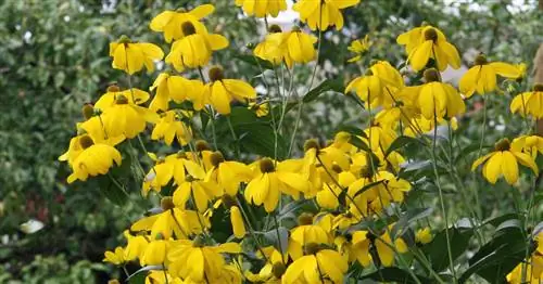 Парашютная шляпа от солнца