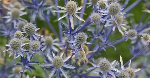 Маленький человек заблудился