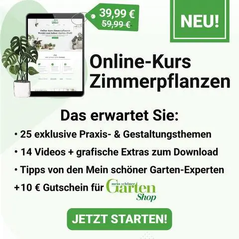 Онлайн курс по комнатным растениям