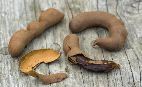 Мякоть плодов тамаринда (Tamarindus indica)