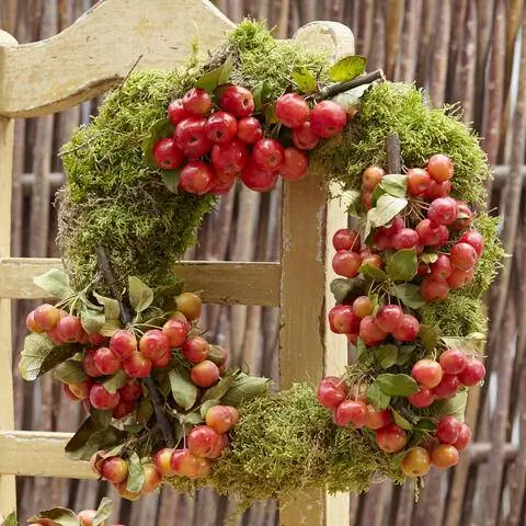 Композиция из декоративных яблок