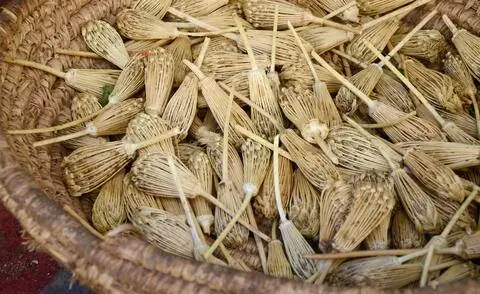Сушеная трава епископа (Ammi visnaga)