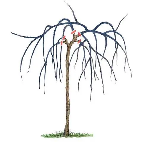 Вырезать висящие сережки