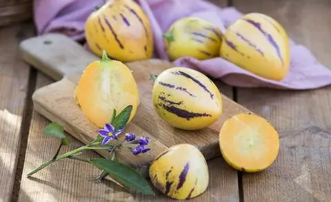 Грушевые дыни (Solanum muricatum)