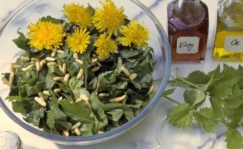 Салат из рукколы с кедровыми орешками и цветками одуванчика