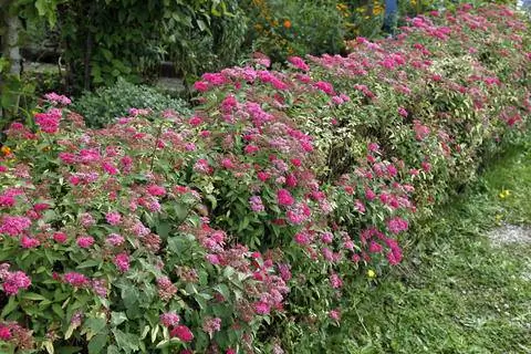 Красные летние причалы
