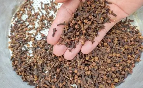 Сушеная гвоздика