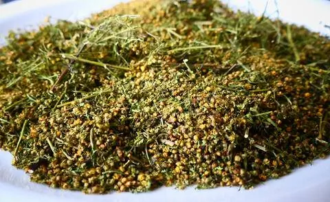 Сухие цветы и листья Artemisia annua