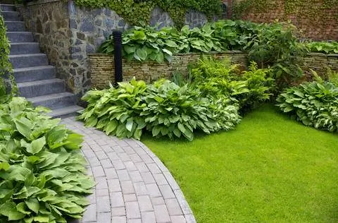 Садовая дорожка из бетонной брусчатки