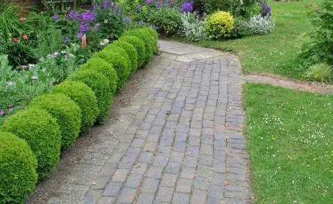 широкая садовая дорожка