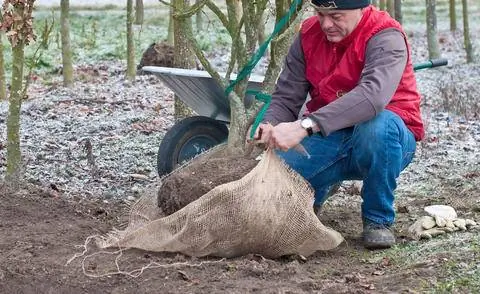 Шляпы шпинделя как товары для тюков