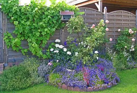 Экран конфиденциальности вьющихся растений