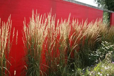 Креативная стена уединения