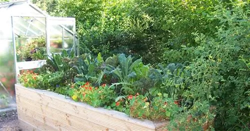 Приподнятая кровать