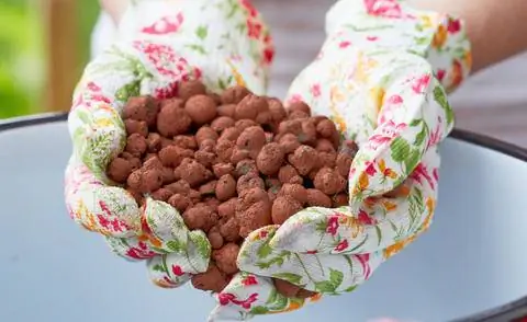 Керамзит обеспечивает хороший дренаж