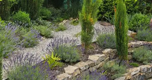 Средиземноморский сад