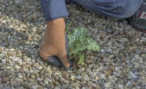 На гравийных дорожках сорняки необходимо удалять вручную