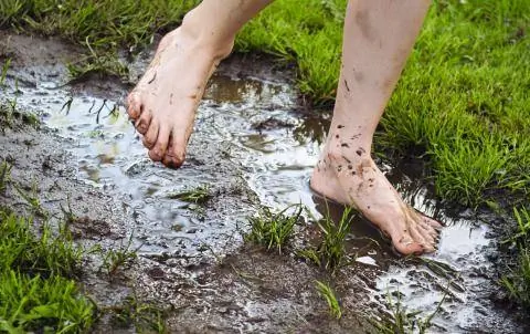 Заболачивание из-за непроницаемой почвы