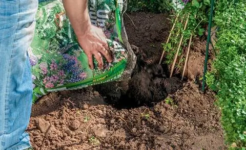 Улучшить земляные работы с помощью горшечной почвы