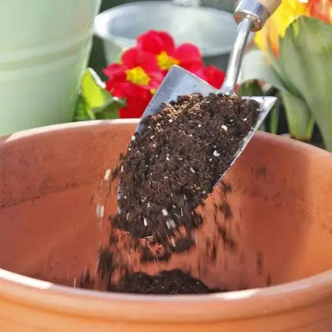 Насыпьте горшечную почву в миску