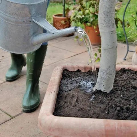 Горшечная почва удерживает поливную воду особенно долго