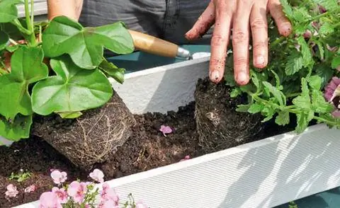 Балконные ящики для растений