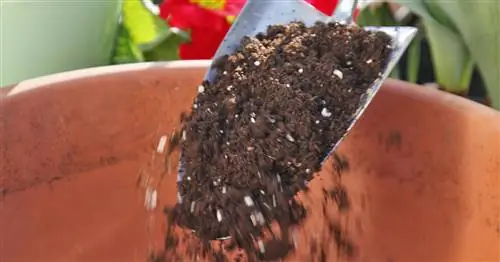 Горшечная почва, горшечная почва