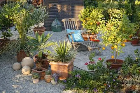 Средиземноморское сиденье