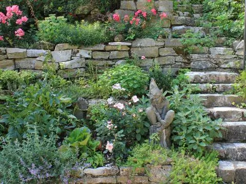 Сад на склоне холма с розами