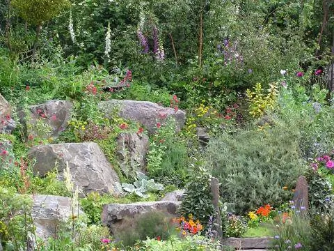 Сад на склоне с валунами и многолетниками