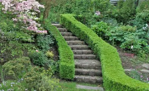 Садовая лестница с книжным кантом