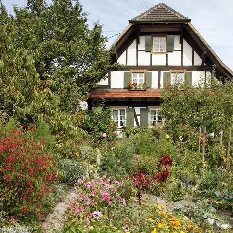 Сад загородного дома с клумбами и тропинками