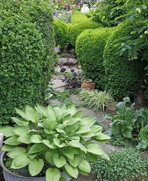 Дорожки из натуральных каменных плит