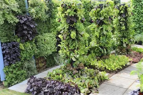 Вертикальный огород