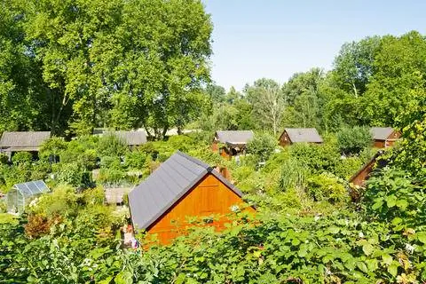 приусадебный участок