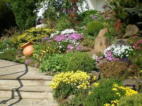 Альпинарий как палисадник