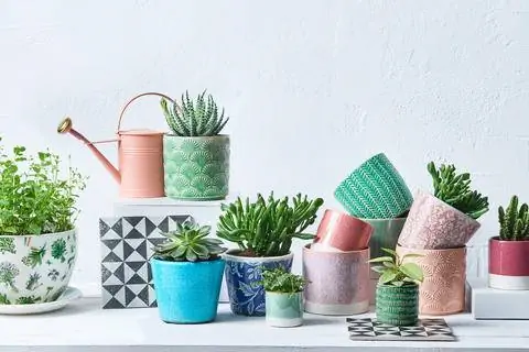 керамические цветочные горшки