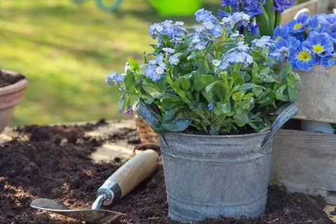 Металлический цветочный горшок