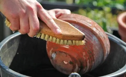Чистый цветочный горшок