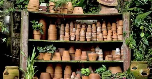 Цветочный горшок, горшок для растений