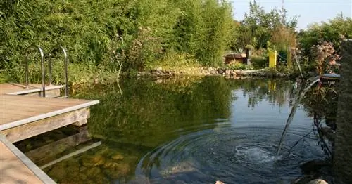Плавательные пруды
